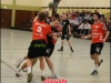 brusdeilinsmatt-122315